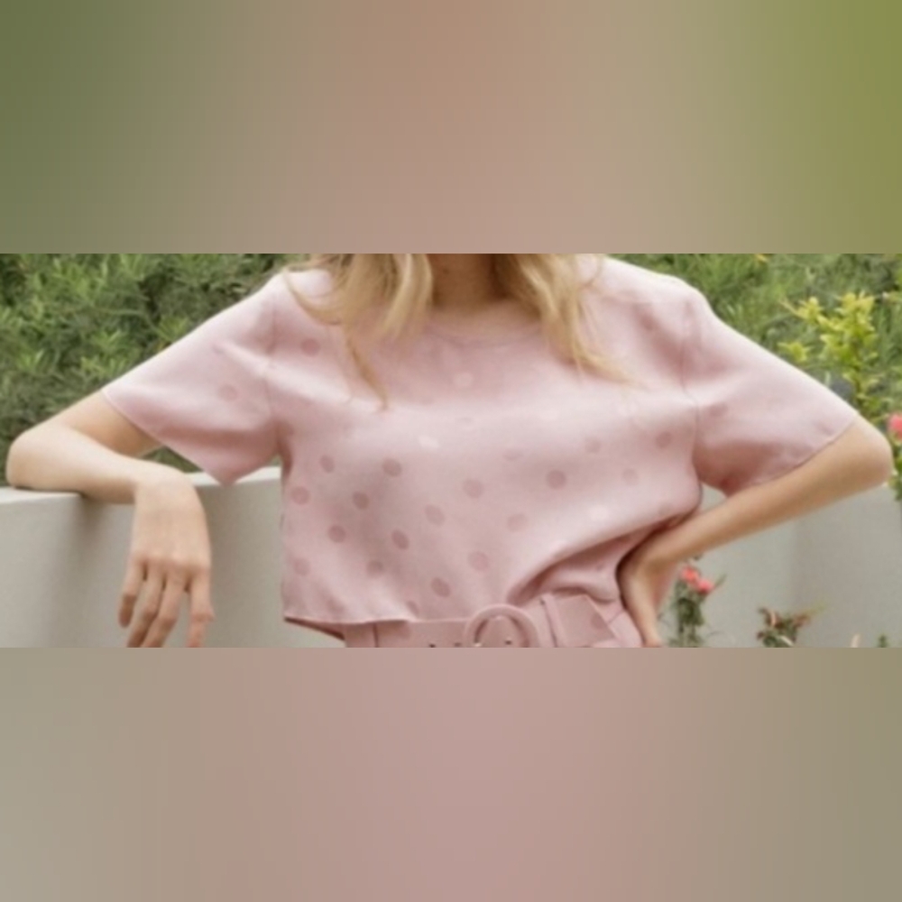 Lavender Brown NWT Size XS Pink Polka Dot Women's Top. Color Is Rose